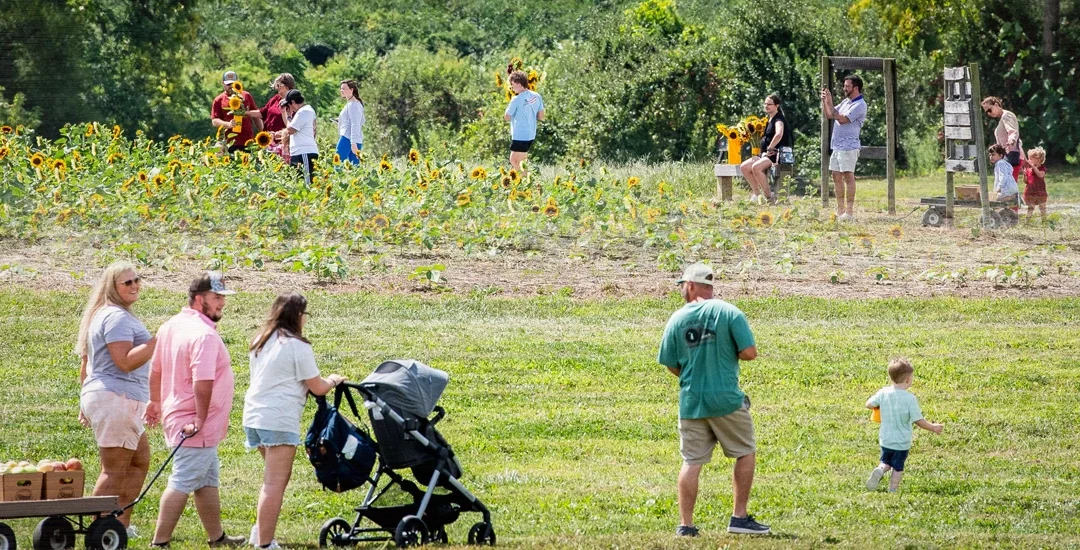 Why Time in Nature Matters
