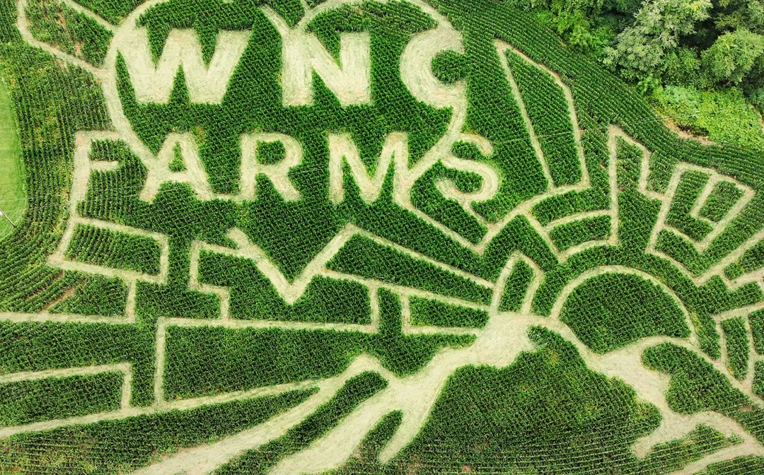 Celebrating Hope and Resilience: The Story Behind Our 2025 Corn Maze