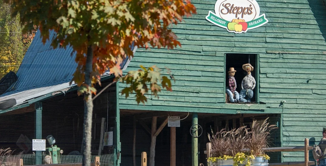 How to Support Stepp’s & Other Local Farms in 2026