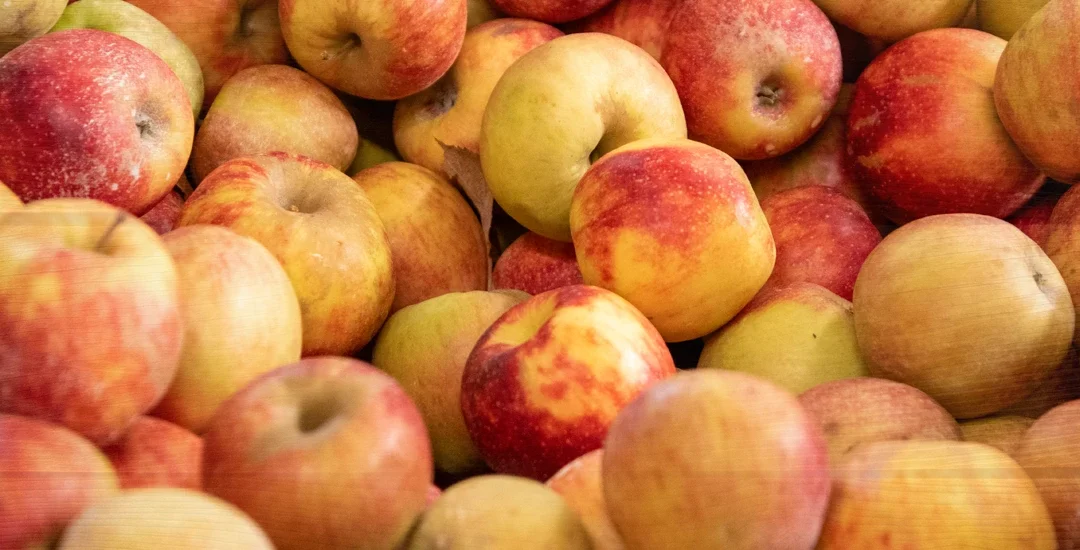 Why We’re Proud to Call Henderson County “Apple Country”