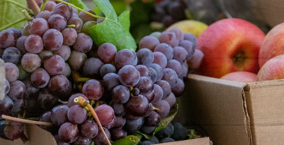 Why August Is One of the Best Times to Visit Stepp’s Hillcrest Orchard